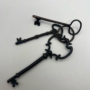 Vintage Style Black Cast Iron Ornate Skeleton Keys Set of 3